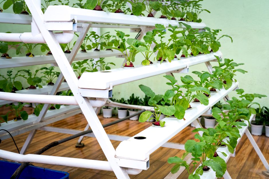 Verticale hydroponische systemen in stedelijke omgeving.
